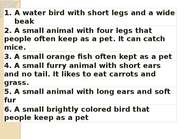 A water bird with short legs and a wide beak 2. A small animal with four legs that people often keep as a pet. It can catch mice. 3. A small orange fish often kept as a pet 4. A small furry animal with short ears and no tail. It likes to eat carrots and grass. 5. A small animal with long ears and soft fur 6. A small brightly colored bird that people keep as a pet 