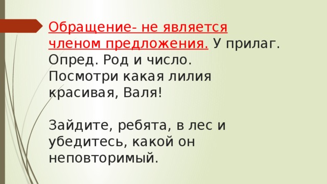 Обращение- не является членом предложения. У прилаг. Опред. Род и число. Посмотри какая лилия красивая, Валя! Зайдите, ребята, в лес и убедитесь, какой он неповторимый. Волга, матушка - река, как мне не любить тебя! 