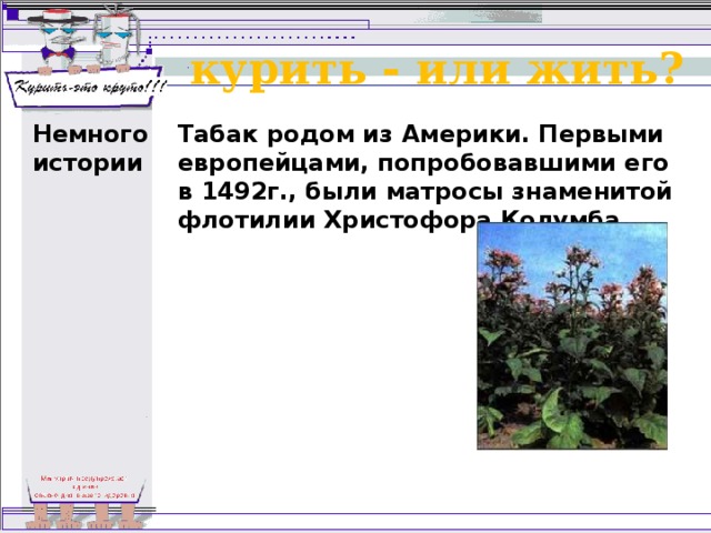 курить - или жить? Немного истории Табак родом из Америки. Первыми европейцами, попробовавшими его в 1492г., были матросы знаменитой флотилии Христофора Колумба. 