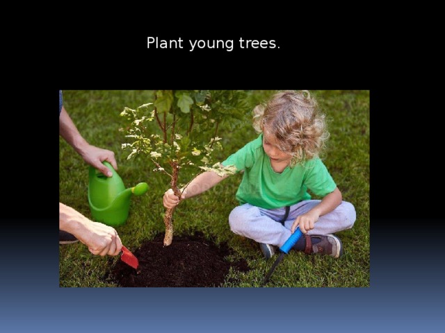 Plant young trees . 