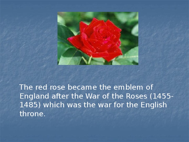  The red rose became the emblem of England after the War of the Roses (1455-1485) which was the war for the English throne. 