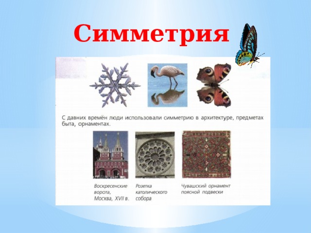 Симметрия 