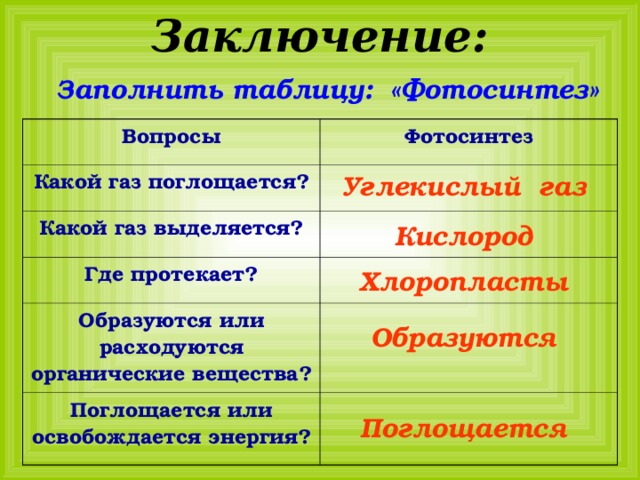 Заключение: Заполнить таблицу: «Фотосинтез»  Вопросы Фотосинтез Какой газ поглощается ? Какой газ выделяется ? Где протекает ? Образуются или расходуются органические вещества ? Поглощается или освобождается энергия ? Углекислый газ Кислород Хлоропласты Образуются Поглощается 