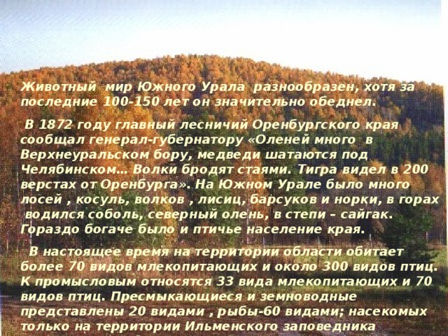 Животный мир Южного Урала разнообразен, хотя за последние 100-150 лет он значительно обеднел.  В 1872 году главный лесничий Оренбургского края сообщал генерал-губернатору «Оленей много в Верхнеуральском бору, медведи шатаются под Челябинском… Волки бродят стаями. Тигра видел в 200 верстах от Оренбурга». На Южном Урале было много лосей , косуль, волков , лисиц, барсуков и норки, в горах водился соболь, северный олень, в степи – сайгак. Гораздо богаче было и птичье население края.  В настоящее время на территории области обитает более 70 видов млекопитающих и около 300 видов птиц. К промысловым относятся 33 вида млекопитающих и 70 видов птиц. Пресмыкающиеся и земноводные представлены 20 видами , рыбы-60 видами; насекомых только на территории Ильменского заповедника насчитывается более 10 000 видов 