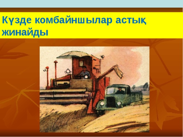 Күзде комбайншылар астық жинайды 