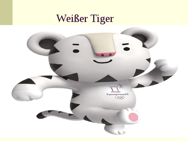 Wei ßer Tiger