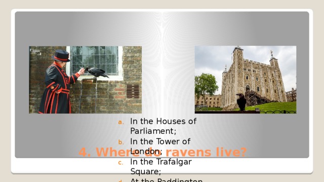 In the Houses of Parliament; In the Tower of London; In the Trafalgar Square; At the Paddington Station. 4. Where do ravens live? 