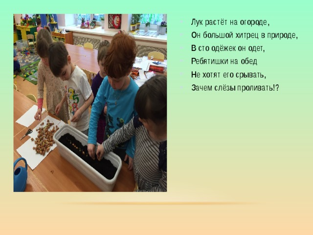 Лук растёт на огороде, Он большой хитрец в природе, В сто одёжек он одет, Ребятишки на обед Не хотят его срывать, Зачем слёзы проливать!? 