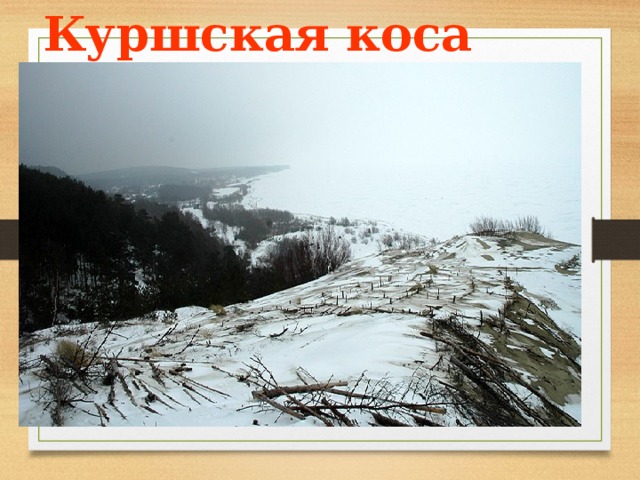 Куршская коса 