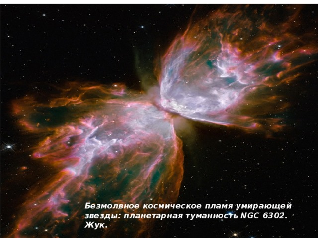 Безмолвное космическое пламя умирающей звезды: планетарная туманность NGC 6302. Жук. 