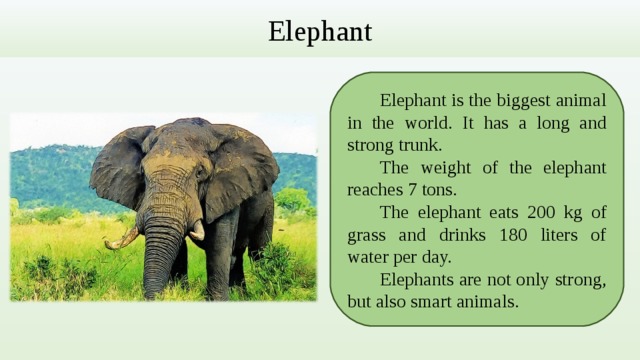 Elephant  Elephant is the biggest animal in the world . It has a long and strong trunk .  The weight of the elephant reaches 7 tons.  The elephant eats 200 kg of grass and drinks 180 liters of water per day.  Elephants are not only strong, but also smart animals . 