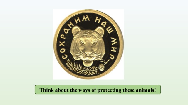 Think about the ways of protecting these animals! 