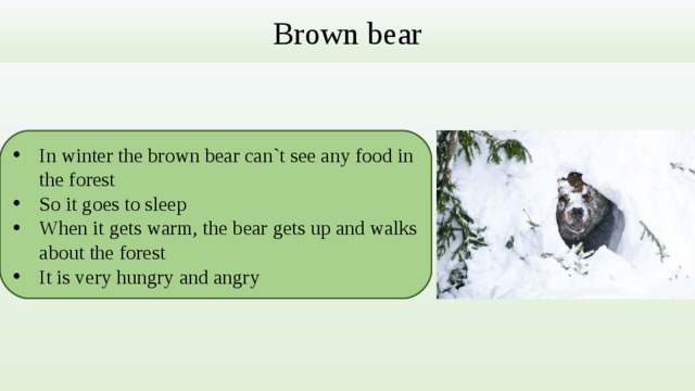 Brown bear In winter the brown bear can`t see any food in the forest So it goes to sleep When it gets warm, the bear gets up and walks about the forest It is very hungry and angry 