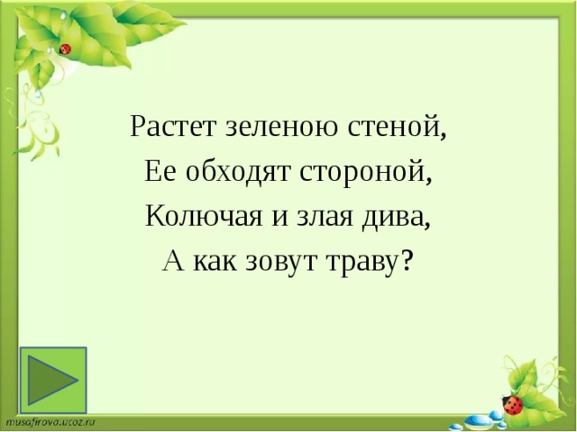 Растет зеленою стеной, Ее обходят стороной, Колючая и злая дива, А как зовут траву? 