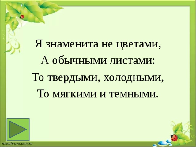 Я знаменита не цветами, А обычными листами: То твердыми, холодными, То мягкими и темными. 