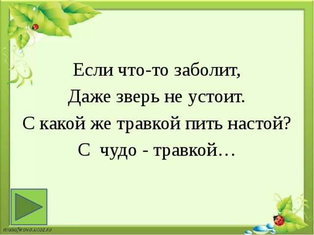 Если что-то заболит, Даже зверь не устоит. С какой же травкой пить настой? С чудо - травкой… 