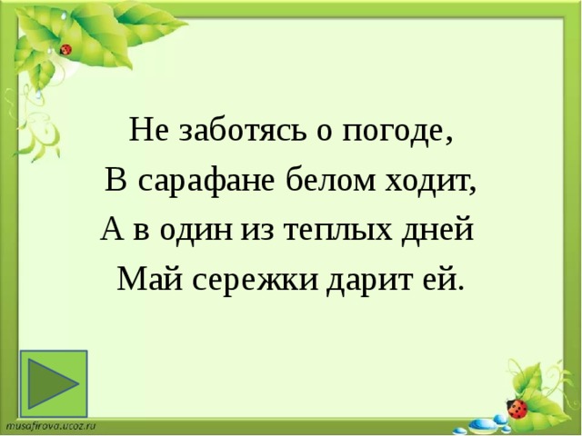 Не заботясь о погоде,  В сарафане белом ходит, А в один из теплых дней Май сережки дарит ей. 