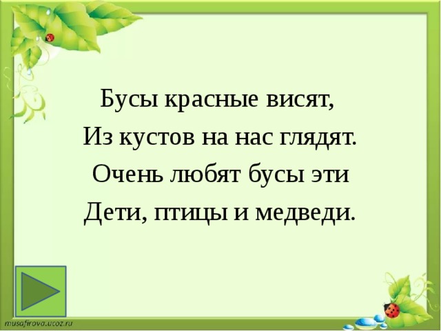 Бусы красные висят, Из кустов на нас глядят.  Очень любят бусы эти Дети, птицы и медведи. 