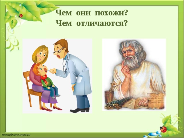 Чем они похожи?  Чем отличаются? 