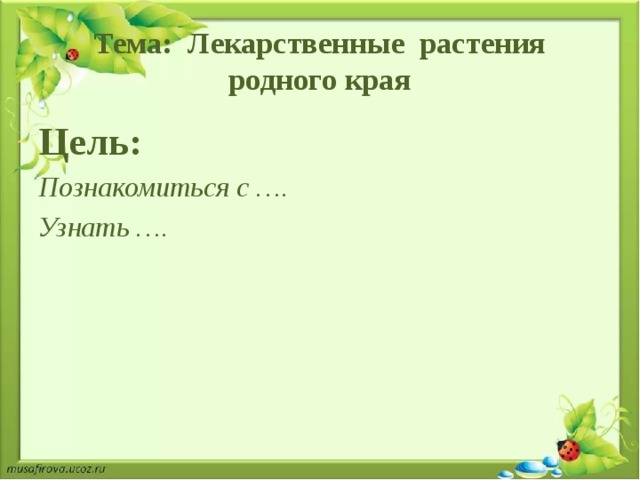 Тема: Лекарственные растения родного края Цель: Познакомиться с …. Узнать …. 