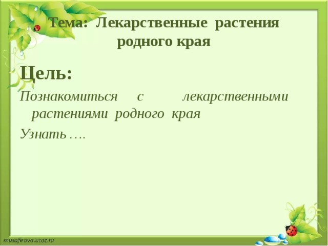 Растения родного края. Растения родного края цели. Цель познакомиться с растениями нашего края. Составить паспорт лекарственного растения родного края 2 класс.