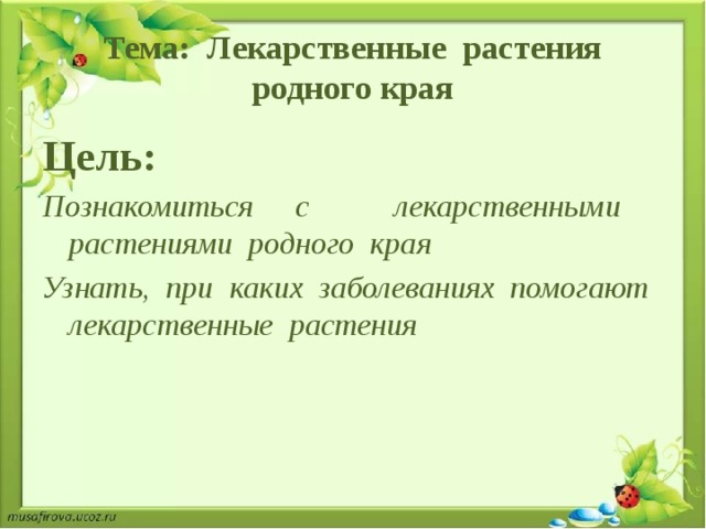 Тема: Лекарственные растения родного края Цель: Познакомиться с лекарственными растениями родного края Узнать, при каких заболеваниях помогают лекарственные растения 