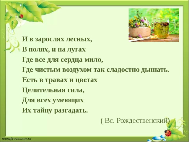 И в зарослях лесных, В полях, и на лугах Где все для сердца мило, Где чистым воздухом так сладостно дышать. Есть в травах и цветах Целительная сила, Для всех умеющих Их тайну разгадать. ( Вс. Рождественский) 