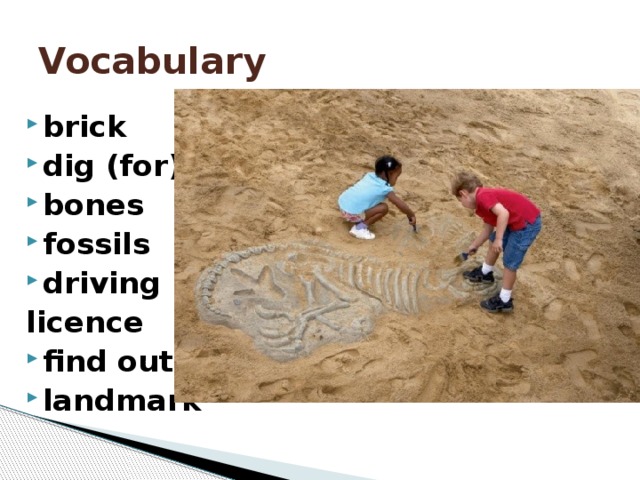 Vocabulary brick dig (for) bones fossils driving licence