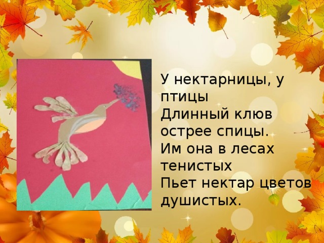У нектарницы, у птицы Длинный клюв острее спицы. Им она в лесах тенистых Пьет нектар цветов душистых. 