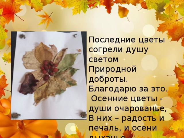 Последние цветы согрели душу светом Природной доброты. Благодарю за это.  Осенние цветы - души очарованье, В них – радость и печаль, и осени дыханье . 