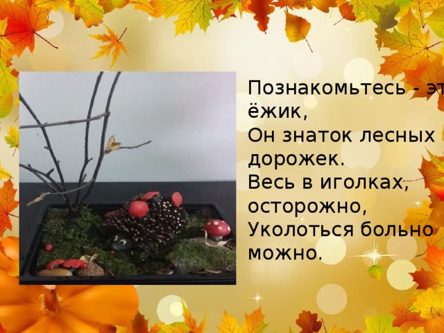 Познакомьтесь - это ёжик, Он знаток лесных дорожек. Весь в иголках, осторожно, Уколоться больно можно. 