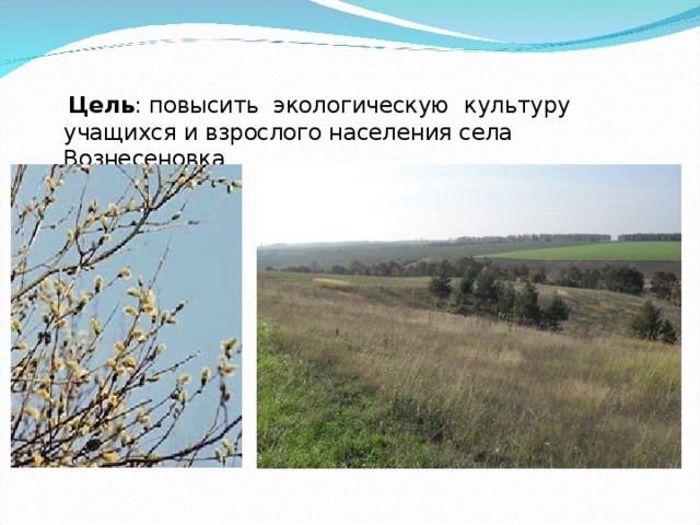  Цель : повысить экологическую культуру учащихся и взрослого населения села Вознесеновка 