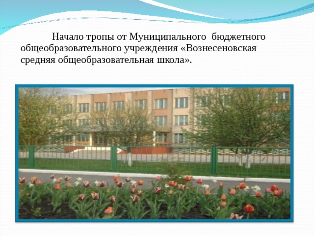  Начало тропы от Муниципального бюджетного общеобразовательного учреждения «Вознесеновская средняя общеобразовательная школа». 