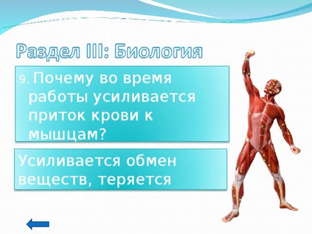 9. Почему во время работы усиливается приток крови к мышцам? Усиливается обмен веществ, теряется энергия. 