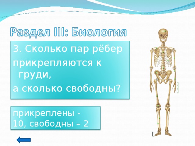 3. Сколько пар рёбер прикрепляются к груди, а сколько свободны? прикреплены - 10, свободны – 2 