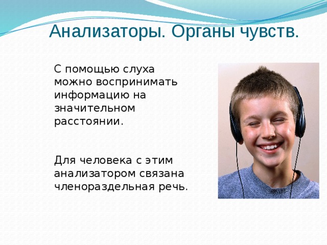 Анализаторы. Органы чувств.  С помощью слуха можно воспринимать информацию на значительном расстоянии.  Для человека с этим анализатором связана членораздельная речь. 