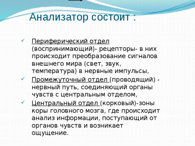 Анализатор состоит : Периферический отдел (воспринимающий)- рецепторы- в них происходит преобразование сигналов внешнего мира (свет, звук, температура) в нервные импульсы, Промежуточный отдел (проводящий) - нервный путь, соединяющий органы чувств с центральным отделом, Центральный отдел (корковый)-зоны коры головного мозга, где происходит анализ информации, поступающий от органов чувств и возникает ощущение. Периферический отдел (воспринимающий)- рецепторы- в них происходит преобразование сигналов внешнего мира (свет, звук, температура) в нервные импульсы, Промежуточный отдел (проводящий) - нервный путь, соединяющий органы чувств с центральным отделом, Центральный отдел (корковый)-зоны коры головного мозга, где происходит анализ информации, поступающий от органов чувств и возникает ощущение. 