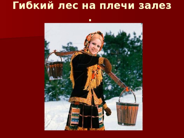 Гибкий лес на плечи залез .   