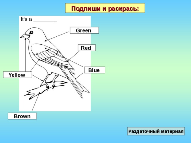 Подпиши и раскрась: It‘s a ________ Green Red Blue Yellow Brown Раздаточный материал 