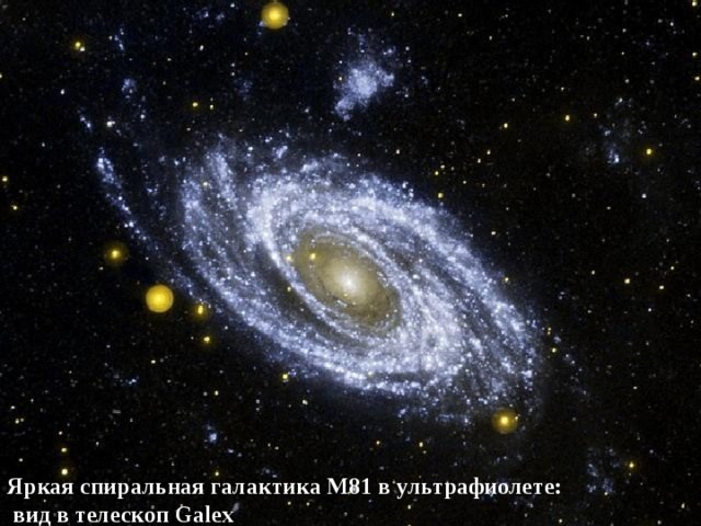 Яркая спиральная галактика M81 в ультрафиолете:  вид в телескоп Galex 