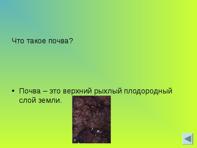 Что такое почва? Почва – это верхний рыхлый плодородный слой земли. 