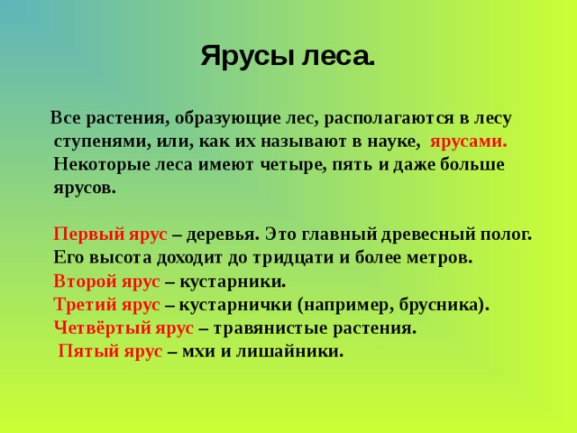 Ярусы леса.  Все растения, образующие лес, располагаются в лесу  ступенями, или, как их называют в науке, ярусами.   Некоторые леса имеют четыре, пять и даже больше  ярусов.   Первый ярус – деревья. Это главный древесный полог.  Его высота доходит до тридцати и более метров.  Второй ярус – кустарники.  Третий ярус – кустарнички (например, брусника).  Четвёртый ярус – травянистые растения.  Пятый ярус – мхи и лишайники.   