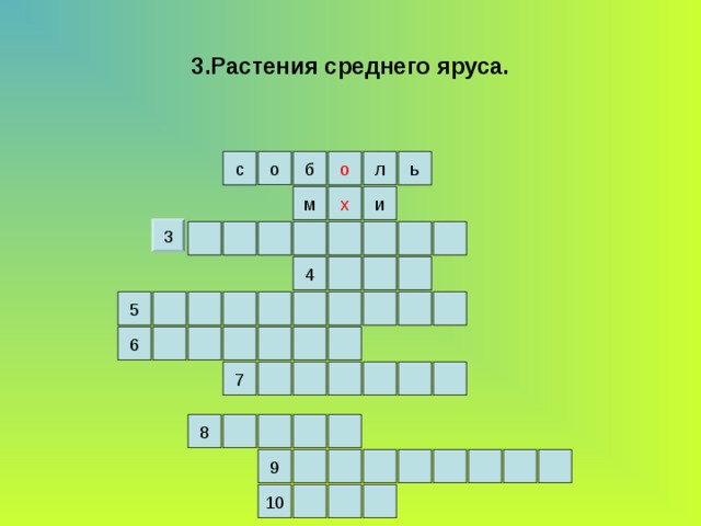 3.Растения среднего яруса. л о б о с ь х и м 3 4 5 6 7 8 9 10 