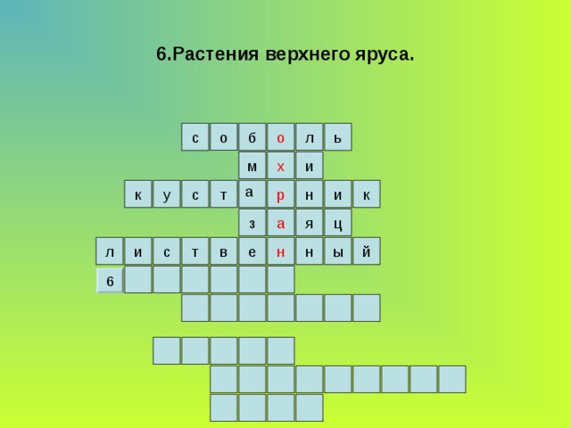 6.Растения верхнего яруса. л о б о с ь х и м а к р к у и н с т а ц я з н т н и в ы с е л й 6 