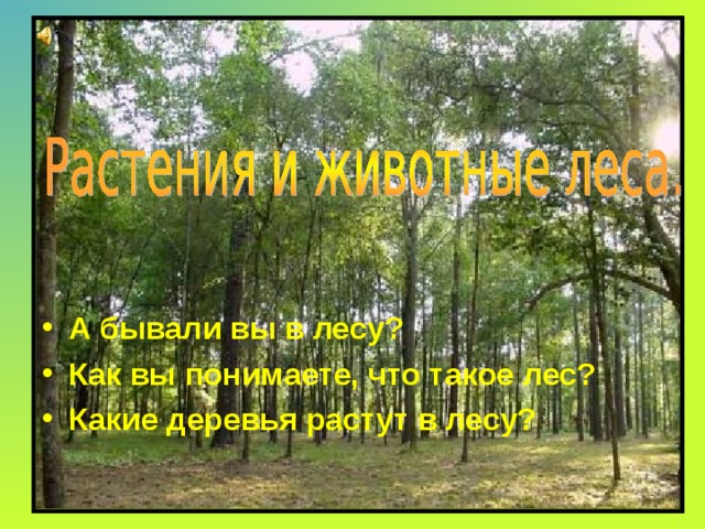 А бывали вы в лесу? Как вы понимаете, что такое лес? Какие деревья растут в лесу? 