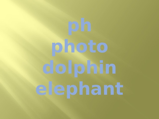ph  photo  dolphin  elephant 