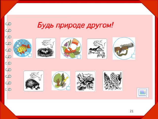 Проект друзья природы