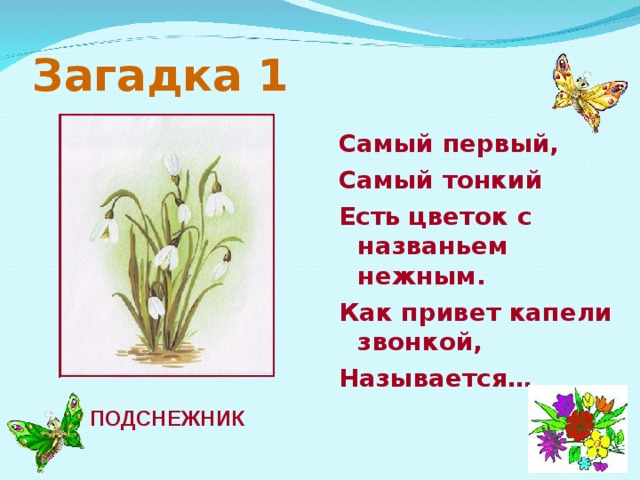 Загадка 1 Самый первый, Самый тонкий Есть цветок с названьем нежным. Как привет капели звонкой, Называется… ПОДСНЕЖНИК 