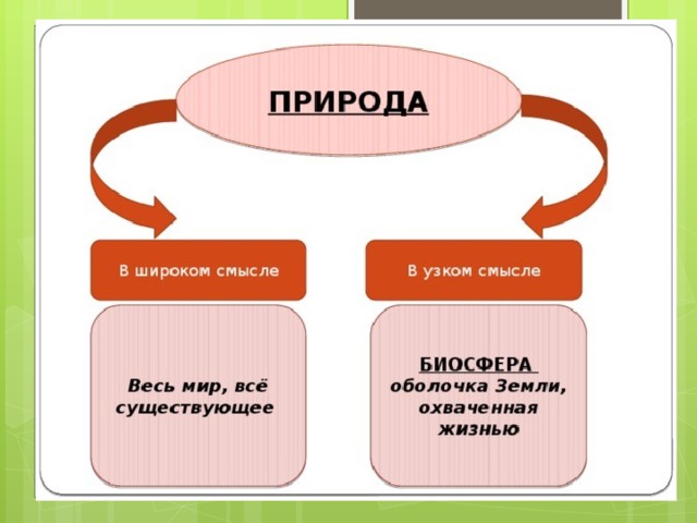 Что такое общество человек природа общество. Смотреть фото Что такое общество человек природа общество. Смотреть картинку Что такое общество человек природа общество. Картинка про Что такое общество человек природа общество. Фото Что такое общество человек природа общество