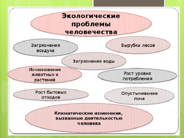 Взаимодействие общества и природы картинки